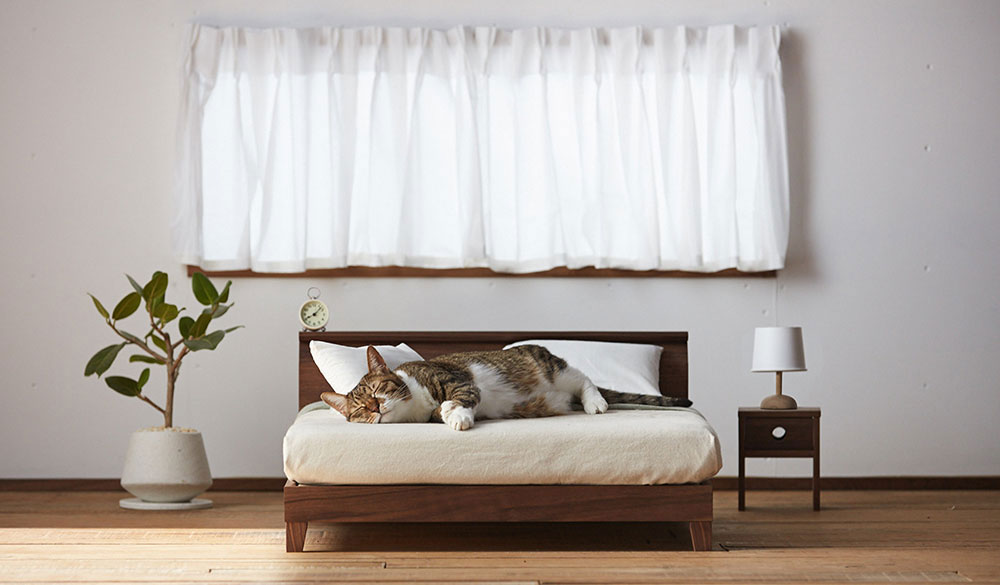 Raffine Bed for cat（ラフィネ ベッド）ネコ家具