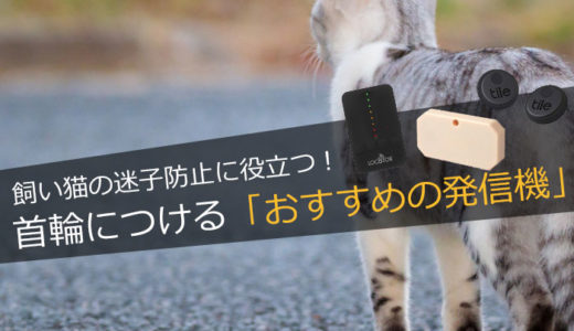 猫のクリスマス衣装（サンタ）を100均や通販で買ってみた。  ネコビュー