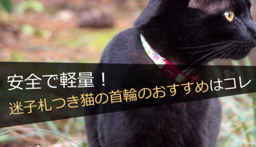 【安全で軽い】迷子札つき猫の首輪のおすすめ品！選び方と共に紹介します。