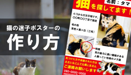 猫の迷子ポスターやチラシ作り アプリやpcでの作成や印刷方法を紹介 ネコビュー