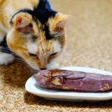 何で猫はサツマイモや焼き芋が好きなの？食べても大丈夫？
