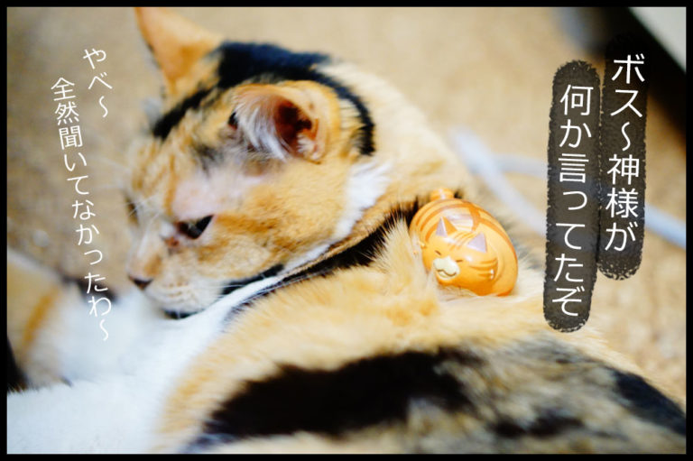 猫年がない理由は謎だけど、説が面白いので紹介します! ネコビュー 猫年がない理由は謎だけど、説が面白いので紹介します! ネコビュー