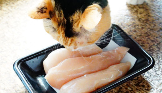 猫に生肉って大丈夫？スーパーの生肉を食べたらどうなる？