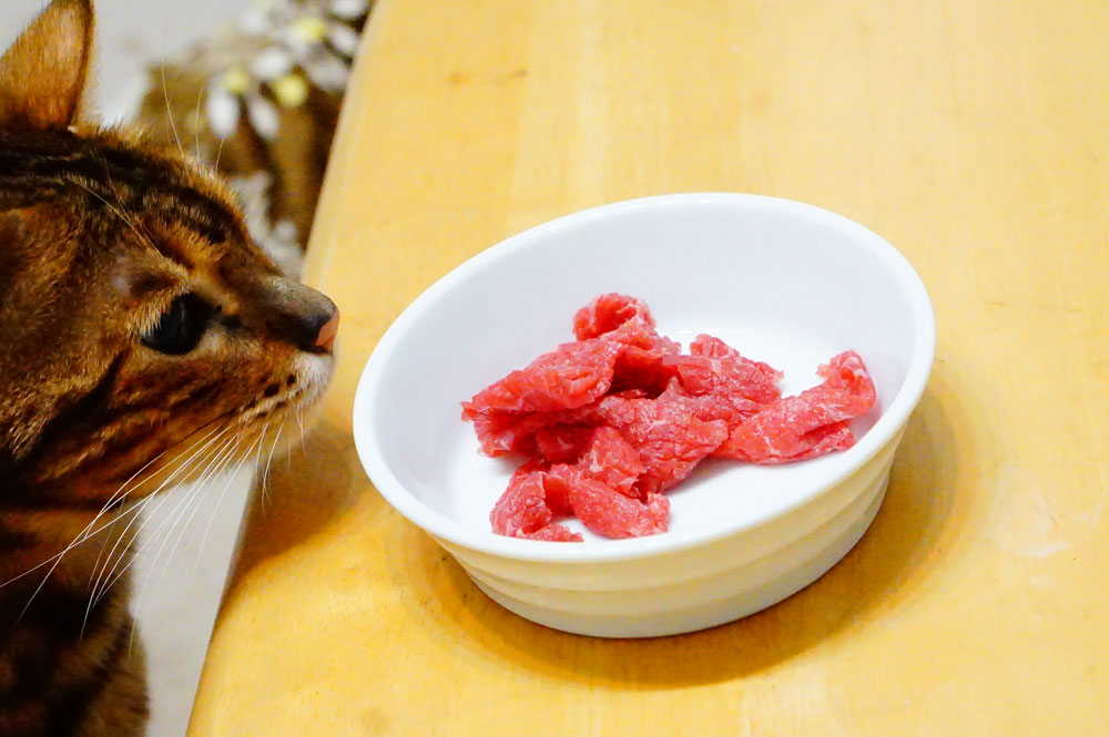 猫に生肉を食べさせるメリットとは？