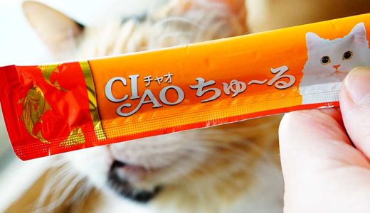 【要注意】猫にチャオちゅーるを食べさせるのはちょっと危険？