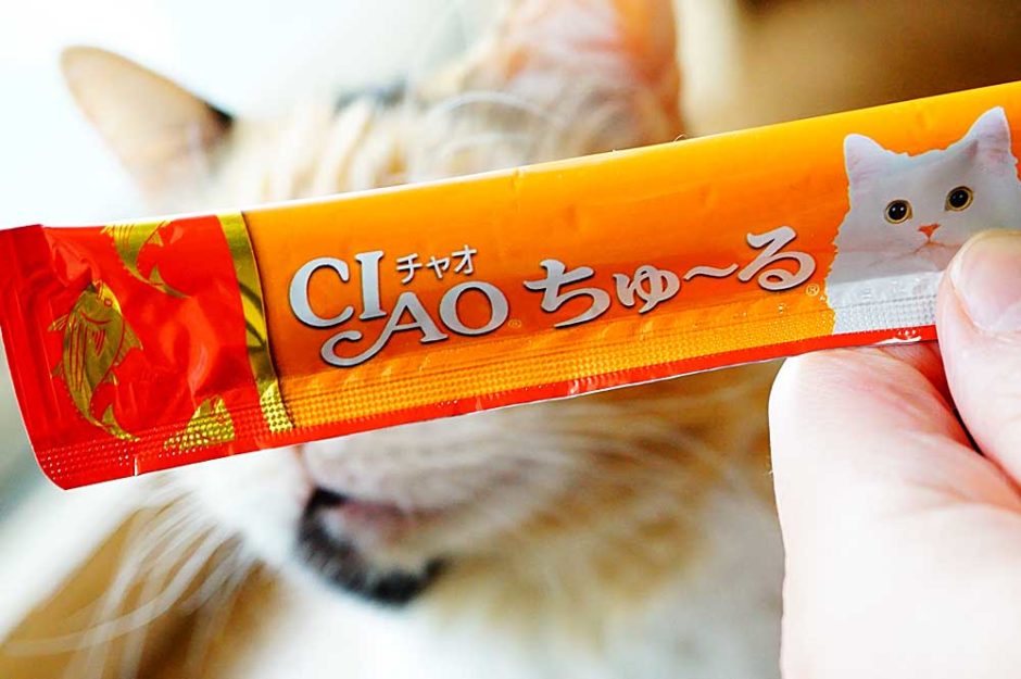 【要注意】猫にチャオちゅーるを食べさせるのはちょっと危険？