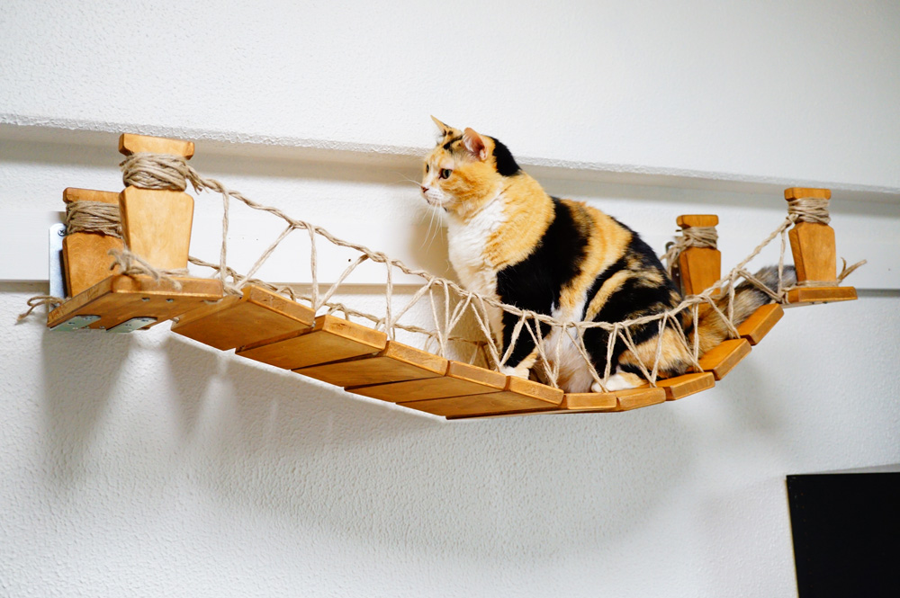 猫用の吊り橋（キャットブリッジ）をDIYしてみた！【作り方も公開