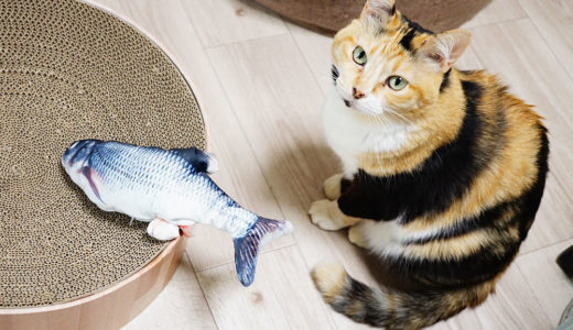 動画あり！動く魚のおもちゃ(ダンシングフィッシュ)をレビュー！猫の反応は？