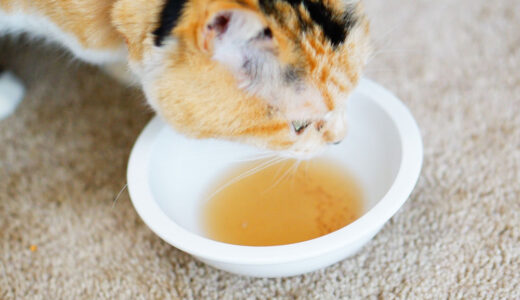 【天然材料で安心】猫ちゃん用の無添加スープを買ってみた！