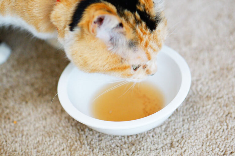 自家製スランペットのレシピ