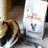 【予想外の結果に】ロイヤルカナンの猫用「肝臓サポート」をレビュー！