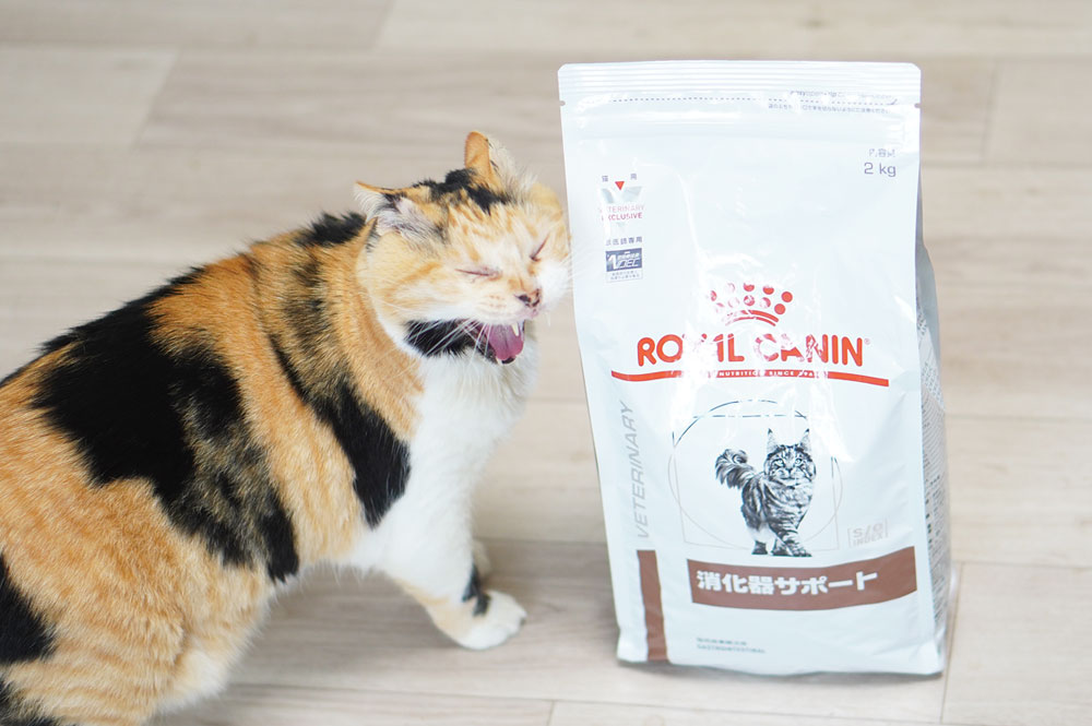 ロイヤルカナン 猫用 消化器サポート ドライ 2kg s o