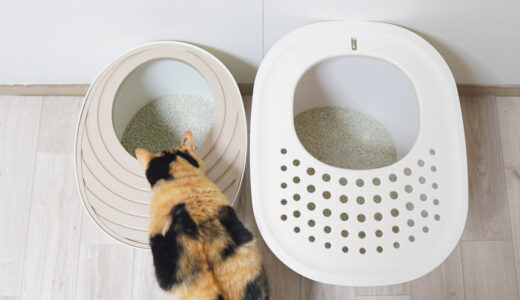 【論文あり】猫トイレの大きさ目安は？ズバリ体長の1.5倍以上がいい！