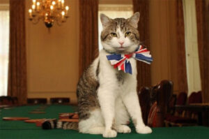 イギリスで有名な猫　名前　ラリー