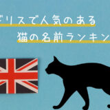 【最新】イギリスで人気のある猫の名前をランキングで紹介！