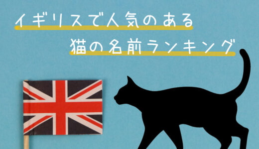 【最新】イギリスで人気のある猫の名前をランキングで紹介！
