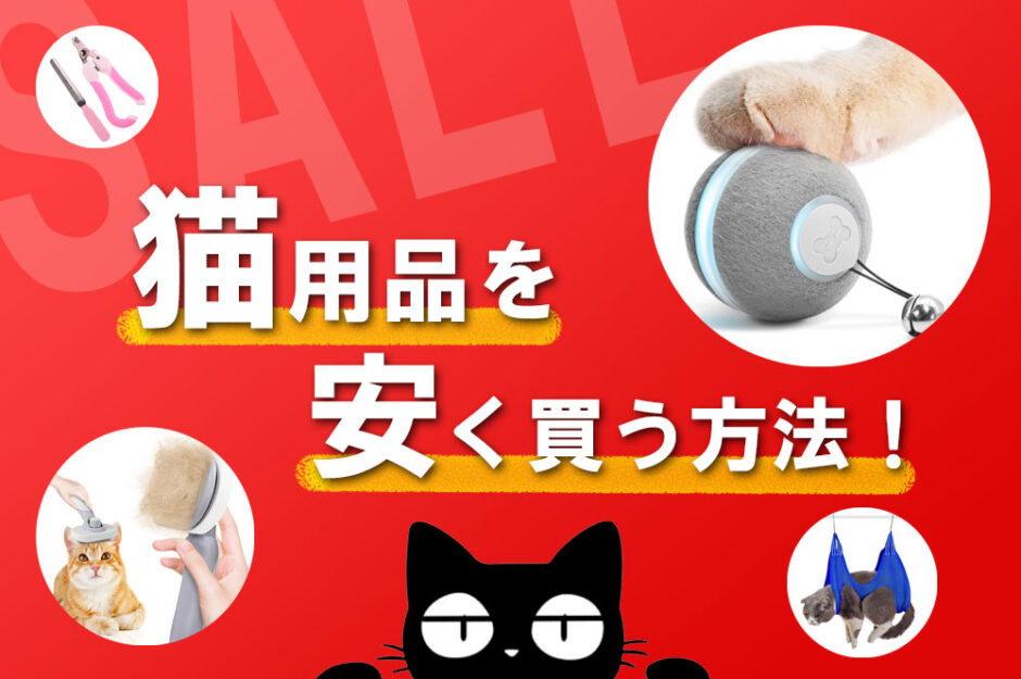 【ホントに安い】猫用品・グッズが安く買える通販サイトはここ！
