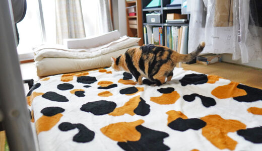 【これは最高】猫フィールの掛け布団カバーと包めるシーツをレビュー！